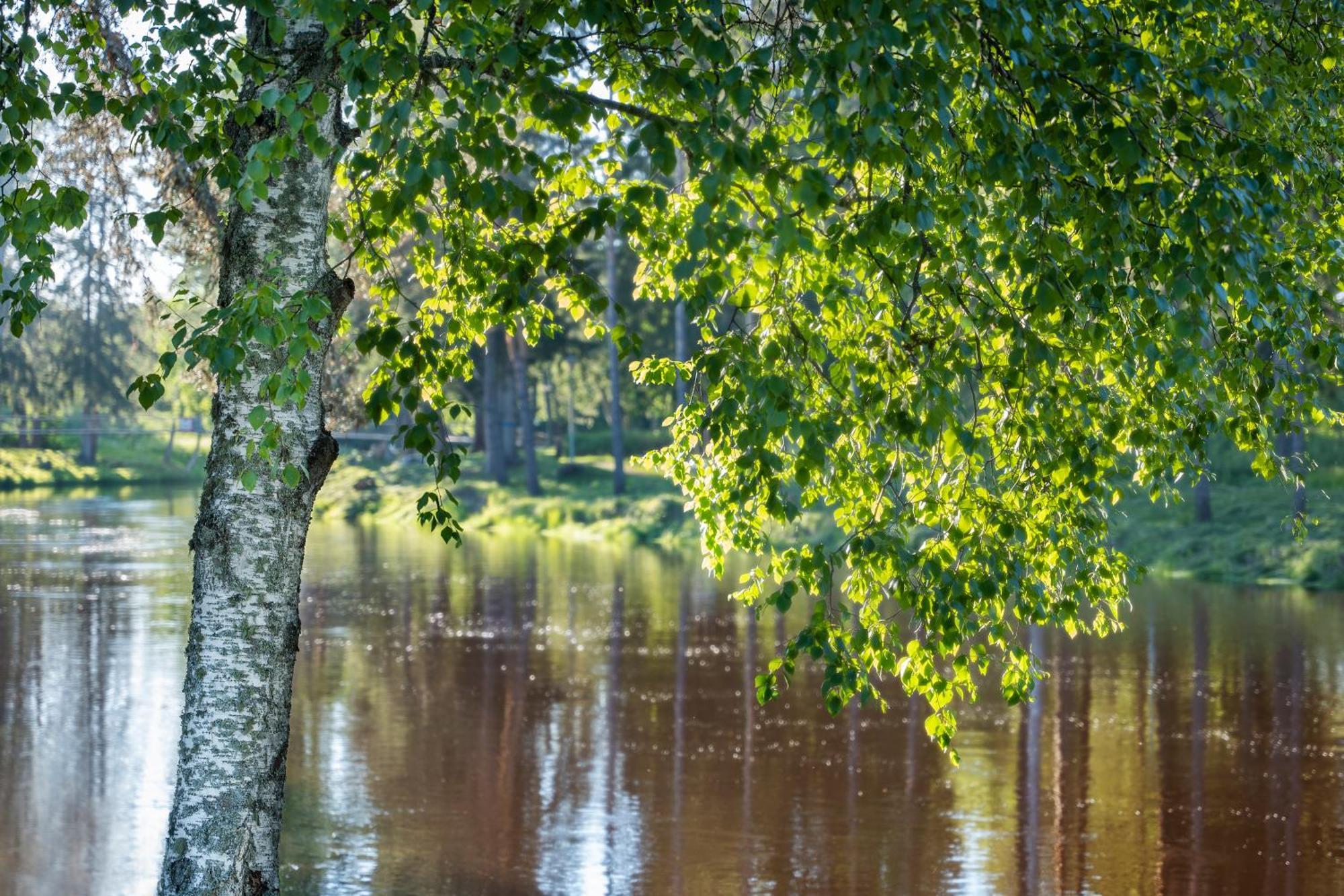Spa Hotel Runni Iisalmi Bagian luar foto